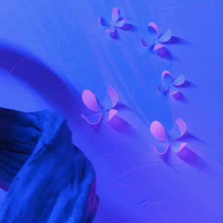 Отель Grand Des Bains