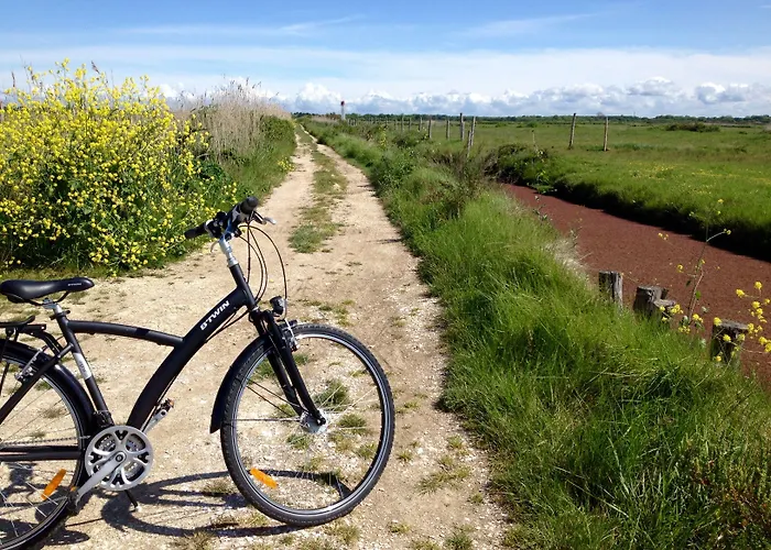 Grand Des Bains 3* Fouras