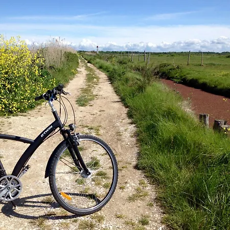 Grand Des Bains 3* Fouras