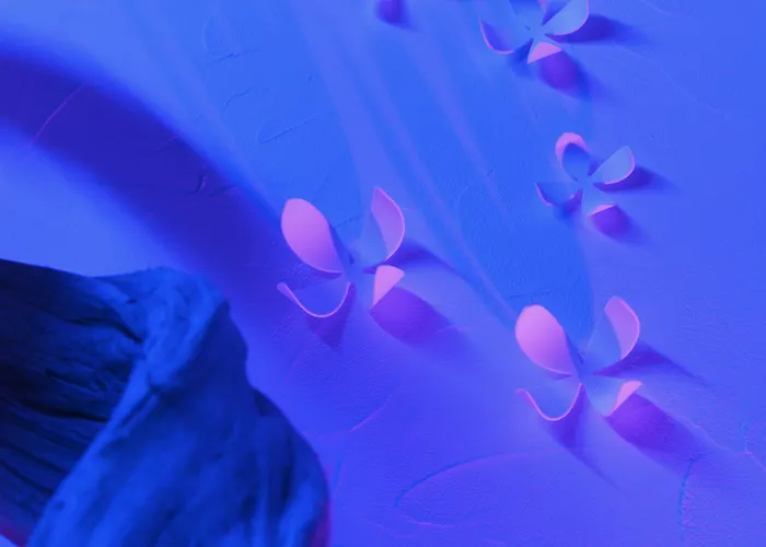 Hotel Grand Des Bains